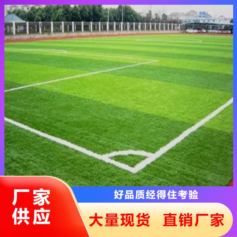 【人造草坪】塑胶跑道合作共赢