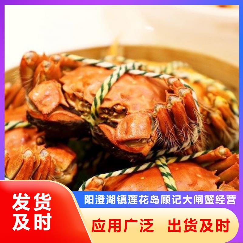 去阳澄湖大闸蟹哪里好吃在苏州阳澄湖
