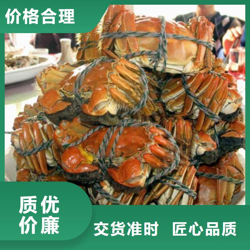 供应商大闸蟹,【阳澄湖大闸蟹价格】选择我们选择放心