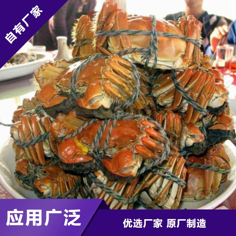 大闸蟹 【哪里卖阳澄湖大闸蟹】现货采购 阳澄湖镇岛顾记大闸蟹经营部(海南省分公司)