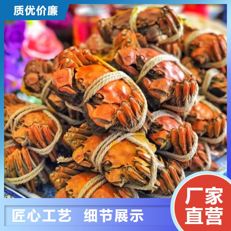 严选用料【大闸蟹_阳澄湖大闸蟹订购欢迎来电咨询】