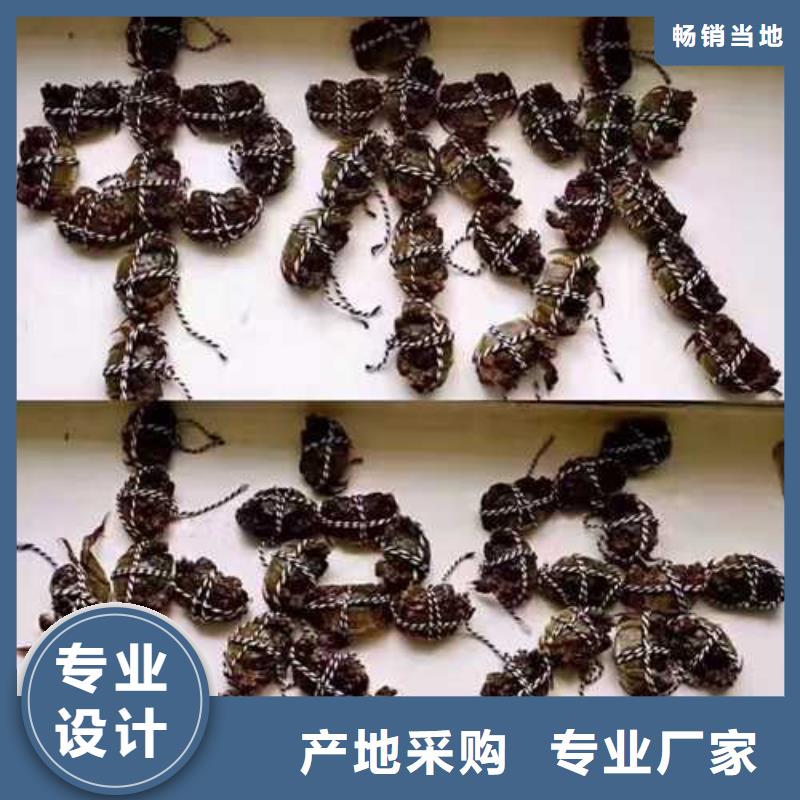 阳澄湖大闸蟹-视频-舟山|衢州|嘉兴|宁波|温州|杭州|丽水顾记阳澄湖大闸蟹_ 阳澄湖镇岛顾记大闸蟹经营部(浙江省分公司)
