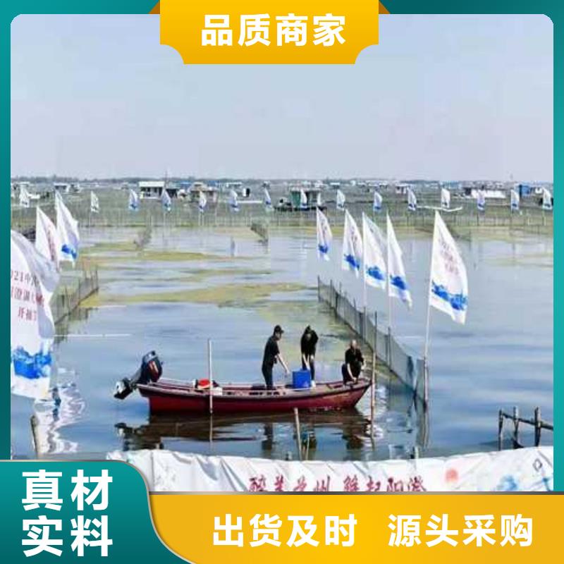 去阳澄湖吃蟹哪里好吃在苏州莲花岛