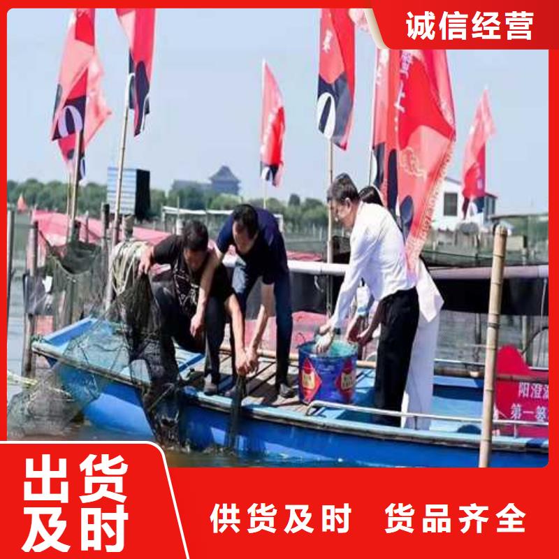 阳澄湖大闸蟹视频-细河|彰武|锦州|盘锦|大连|鞍山|本溪|朝阳顾记阳澄湖大闸蟹_ 阳澄湖镇岛顾记大闸蟹经营部(阜新市分公司)