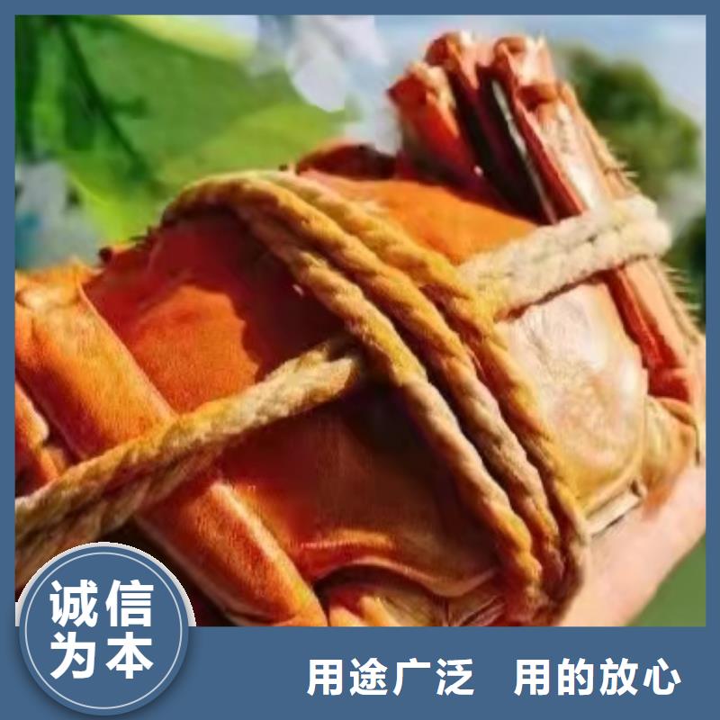 阳澄湖大闸蟹-视频-张家界市阳澄湖大闸蟹-(此地)可服务区域武陵源|桑植|长沙|株洲|娄底|常德|怀化