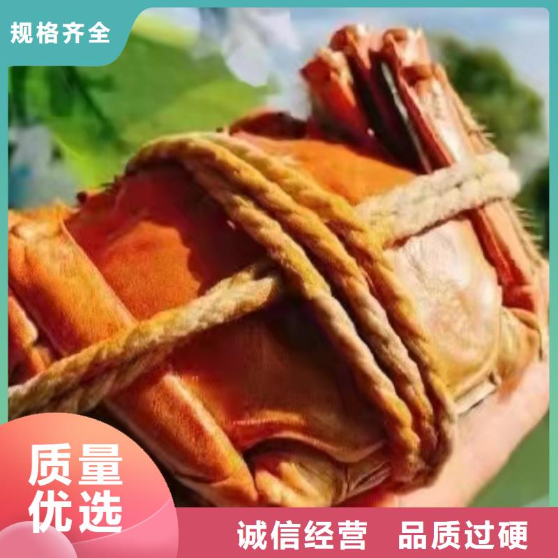 去阳澄湖吃蟹哪里好吃在苏州阳澄湖