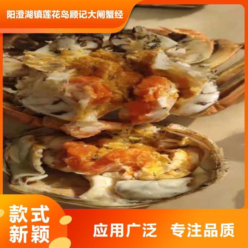 苏州阳澄湖大闸蟹那家实惠好吃