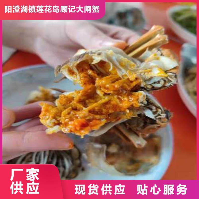 阳澄湖大闸蟹视频-山东省济宁市顾记阳澄湖大闸蟹可服务区域任城|金乡|聊城|济南|滨州|莱芜|菏泽|枣庄等