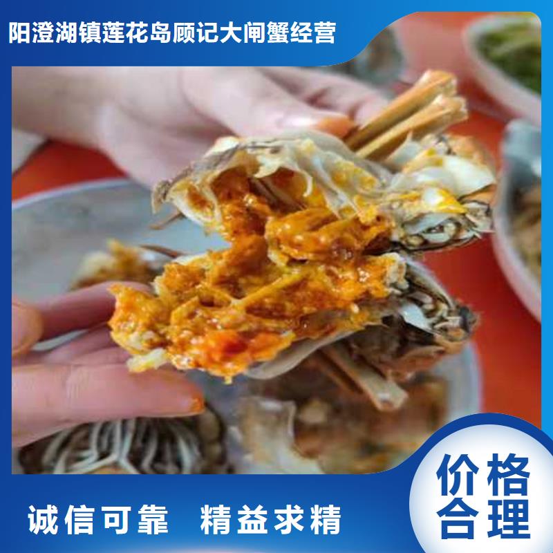 【大闸蟹】,阳澄湖大闸蟹可零售可批发-可发货到清河门|新邱|辽阳|营口|丹东|鞍山