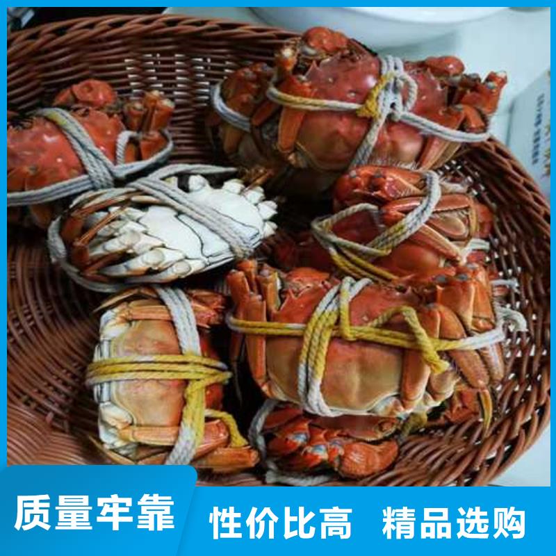 阳澄湖大闸蟹行业品牌厂家