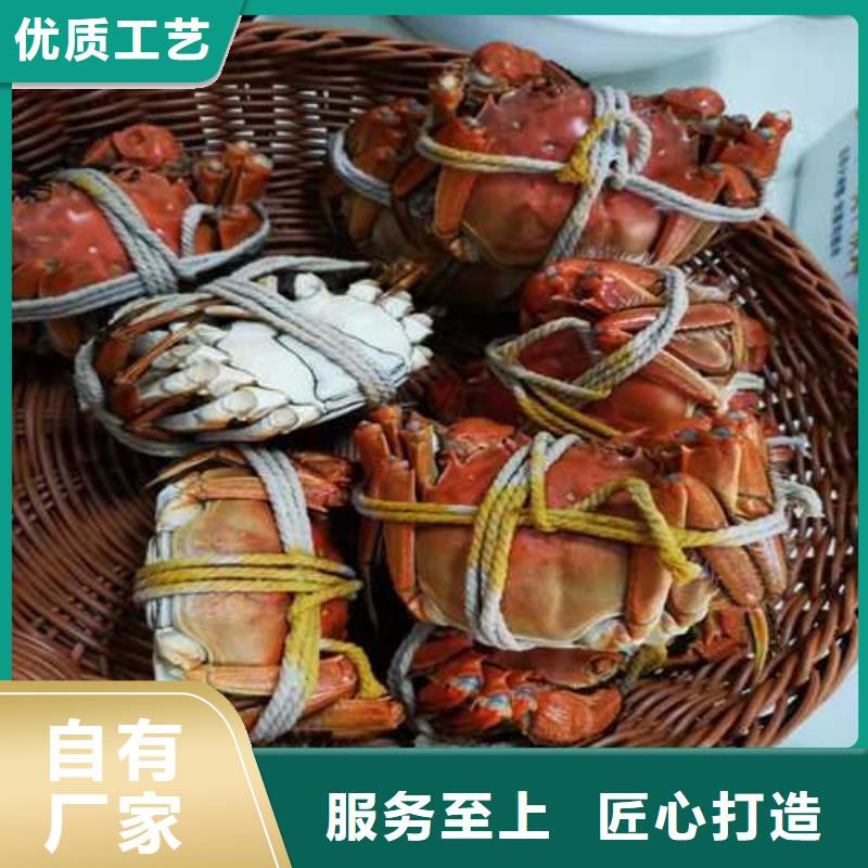 阳澄湖大闸蟹视频-山东省济宁市顾记阳澄湖大闸蟹可服务区域任城|金乡|聊城|济南|滨州|莱芜|菏泽|枣庄等