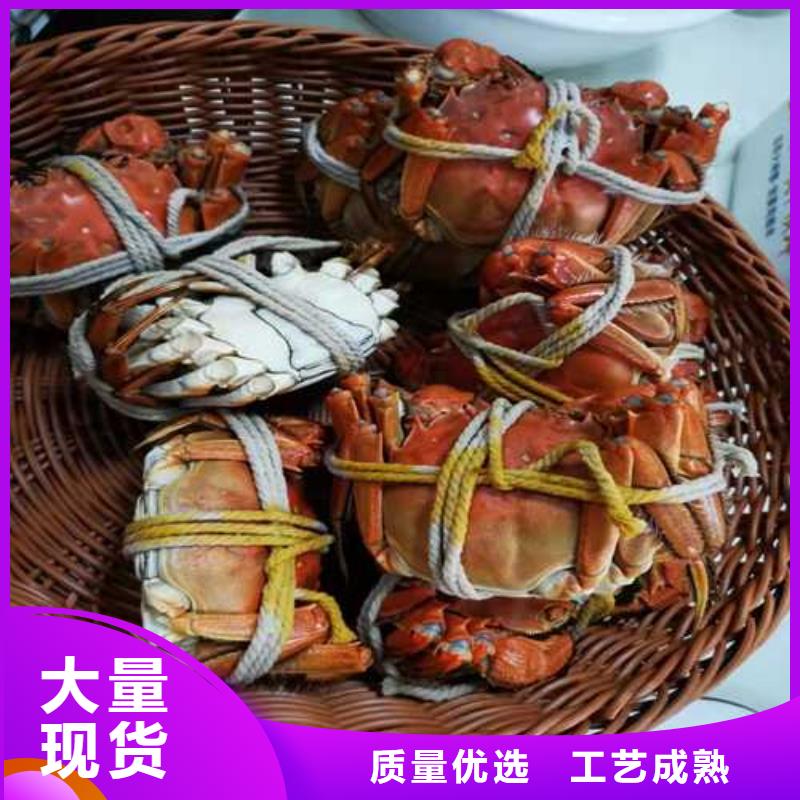 阳澄湖大闸蟹视频-阳澄湖大闸蟹_浙江省市场覆盖台州|绍兴|金华|温州|丽水等