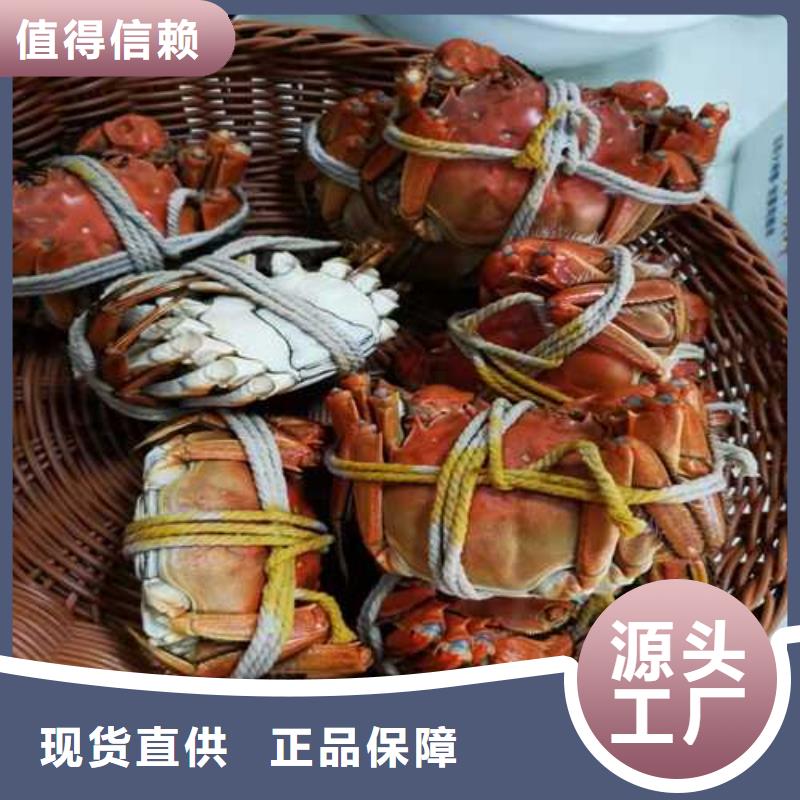 【大闸蟹】-哪里卖阳澄湖大闸蟹用的放心顾记阳澄湖大闸蟹