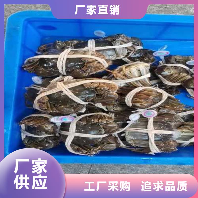 【大闸蟹】,阳澄湖大闸蟹可零售可批发-可发货到清河门|新邱|辽阳|营口|丹东|鞍山