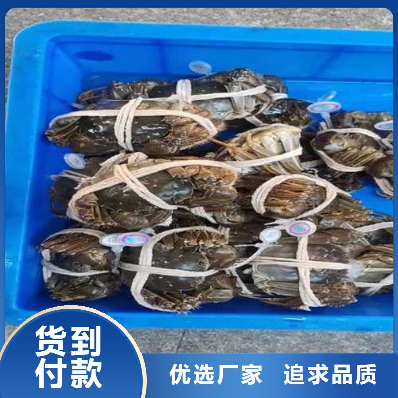 去阳澄湖买蟹哪里正宗在苏州莲花岛