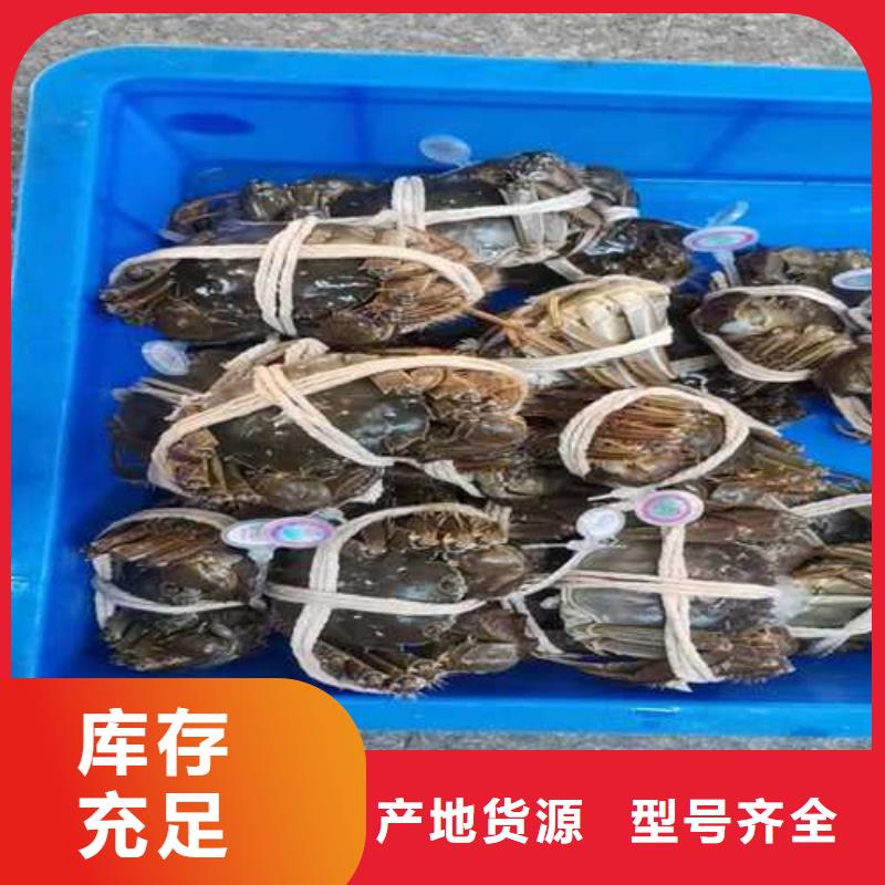 阳澄湖大闸蟹视频-阳澄湖大闸蟹_浙江省市场覆盖台州|绍兴|金华|温州|丽水等