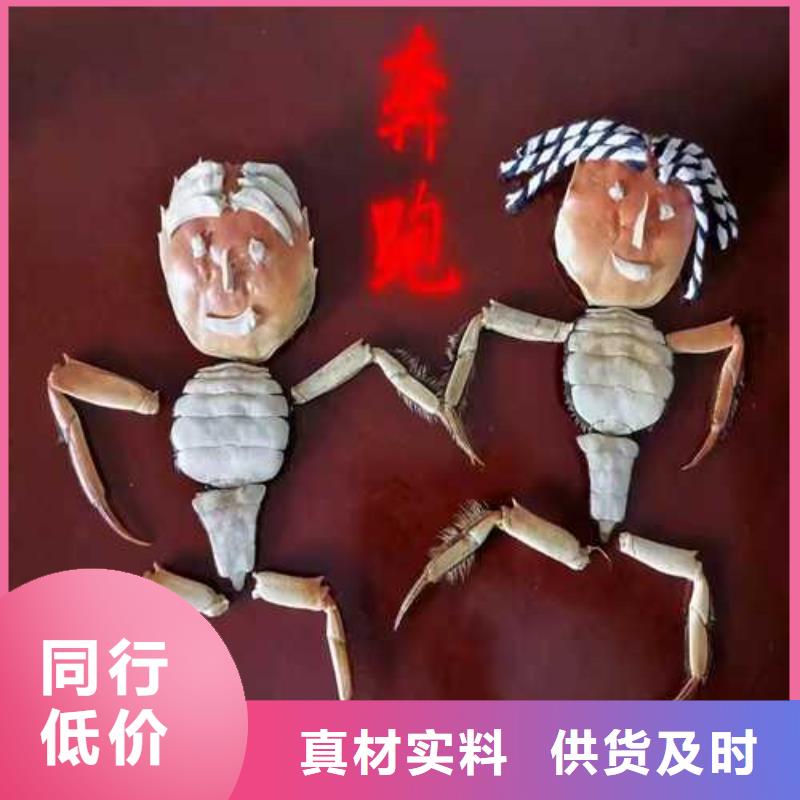 阳澄湖大闸蟹-视频-西丰|银州|大连|抚顺|盘锦|朝阳|辽阳|丹东顾记阳澄湖大闸蟹_ 阳澄湖镇岛顾记大闸蟹经营部(铁岭市分公司)