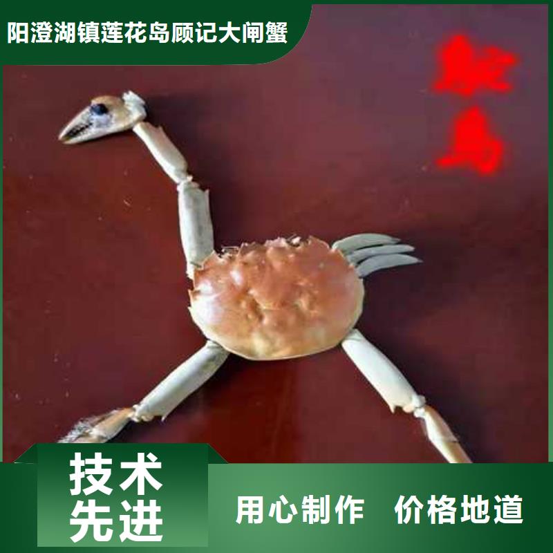 去阳澄湖吃蟹哪里好吃在苏州阳澄湖