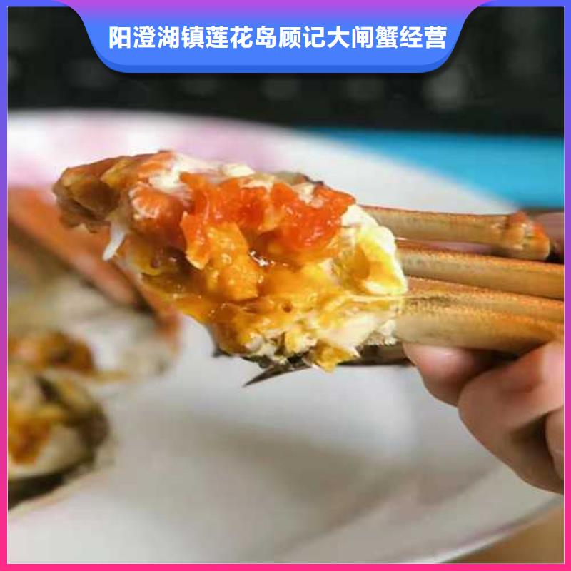 阳澄湖大闸蟹视频-湖南省张家界市顾记阳澄湖大闸蟹可服务区域桑植|慈利|邵阳|长沙|衡阳|娄底|益阳|永州|湘潭等