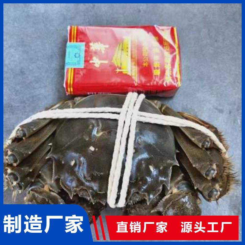 大闸蟹 【哪里卖阳澄湖大闸蟹】现货采购 阳澄湖镇岛顾记大闸蟹经营部(海南省分公司)