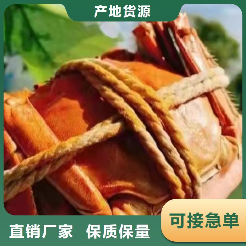 阳澄湖蟹哪家正宗苏州这里好