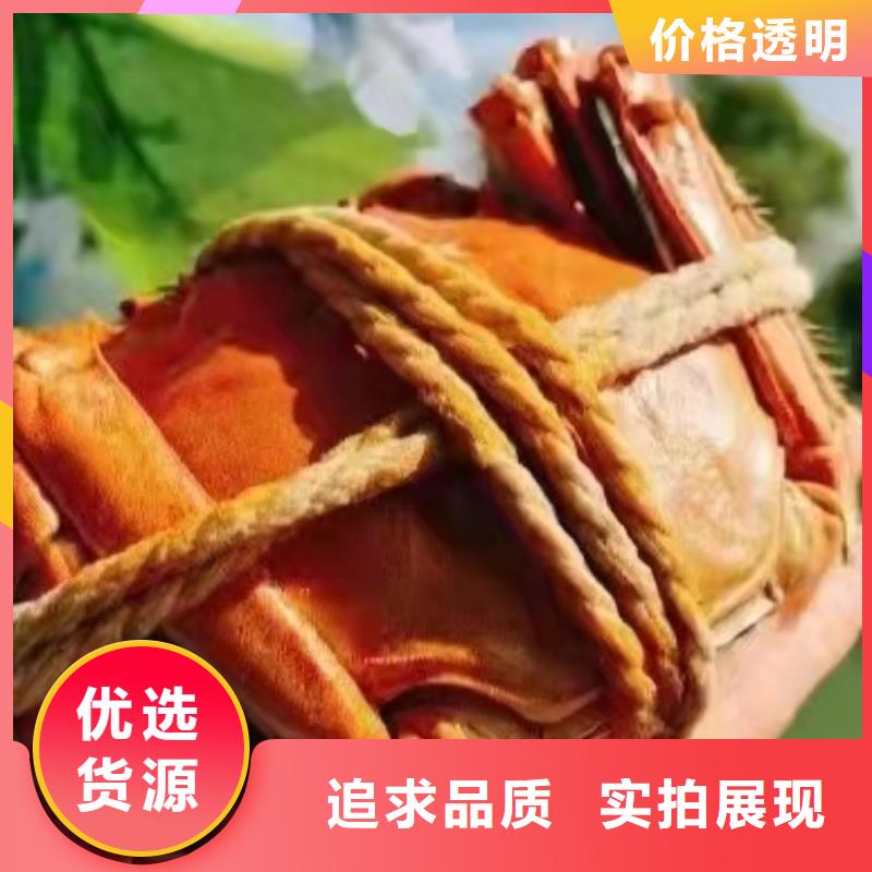 苏州阳澄湖大闸蟹那家实惠好吃
