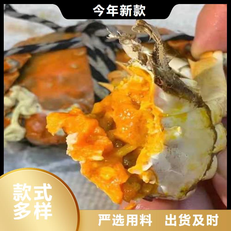 阳澄湖大闸蟹-视频-辽宁省阜新市|太平|细河|营口|沈阳|盘锦|辽阳|本溪|抚顺|鞍山阳澄湖大闸蟹-顾记