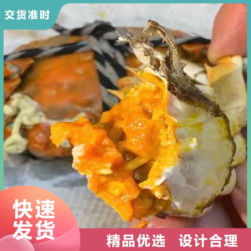 苏州阳澄湖大闸蟹哪家好