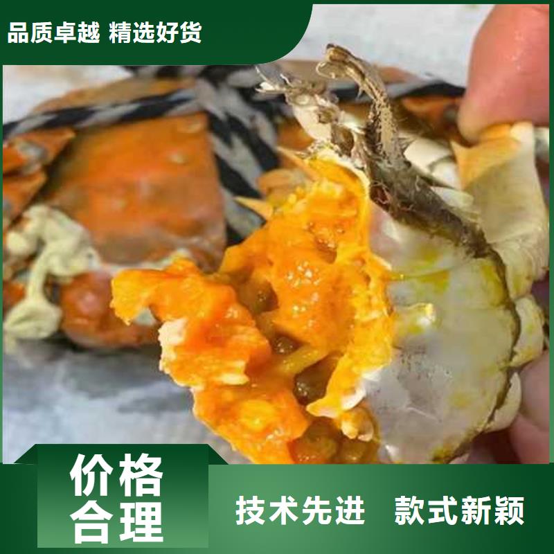 阳澄湖大闸蟹视频-山东省济宁市顾记阳澄湖大闸蟹可服务区域任城|金乡|聊城|济南|滨州|莱芜|菏泽|枣庄等
