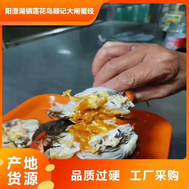 去阳澄湖吃蟹哪里好吃在苏州阳澄湖