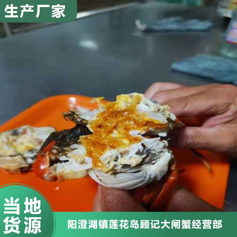 阳澄湖大闸蟹-视频-西丰|银州|大连|抚顺|盘锦|朝阳|辽阳|丹东顾记阳澄湖大闸蟹_ 阳澄湖镇岛顾记大闸蟹经营部(铁岭市分公司)