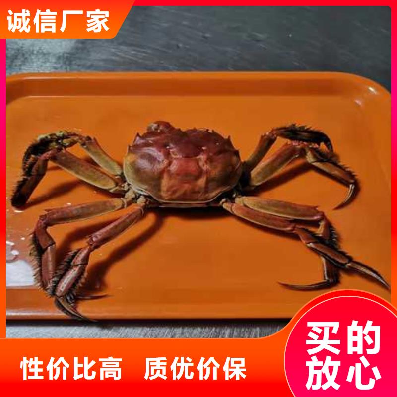 阳澄湖大闸蟹视频-湖南省张家界市顾记阳澄湖大闸蟹可服务区域桑植|慈利|邵阳|长沙|衡阳|娄底|益阳|永州|湘潭等