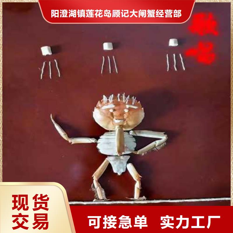 去阳澄湖吃大闸蟹哪家正宗在苏州莲花岛