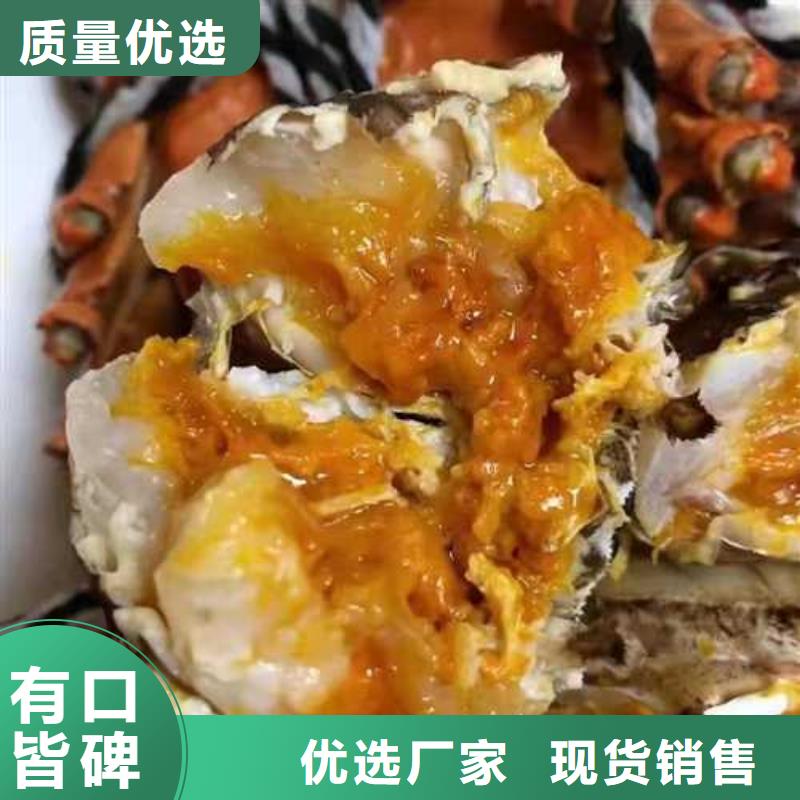 阳澄湖大闸蟹视频-湖南省张家界市顾记阳澄湖大闸蟹可服务区域桑植|慈利|邵阳|长沙|衡阳|娄底|益阳|永州|湘潭等
