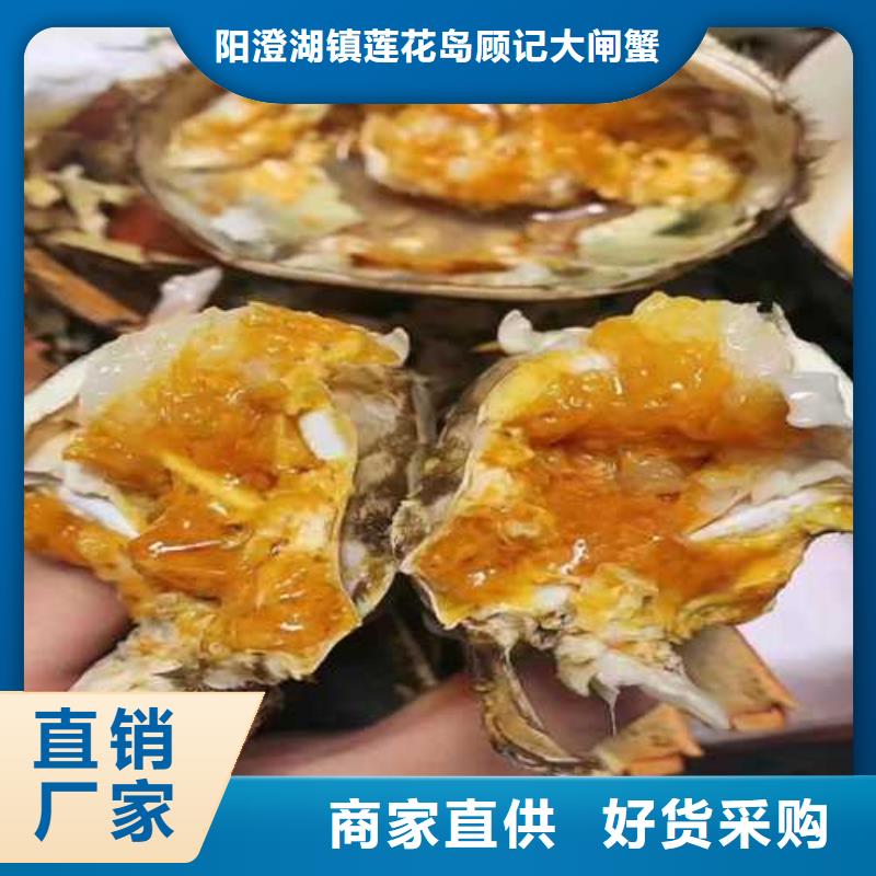 阳澄湖大闸蟹视频-阳澄湖大闸蟹_广东省茂名市市场覆盖电白|茂南|佛山|潮州|云浮|河源|深圳|肇庆|惠州等
