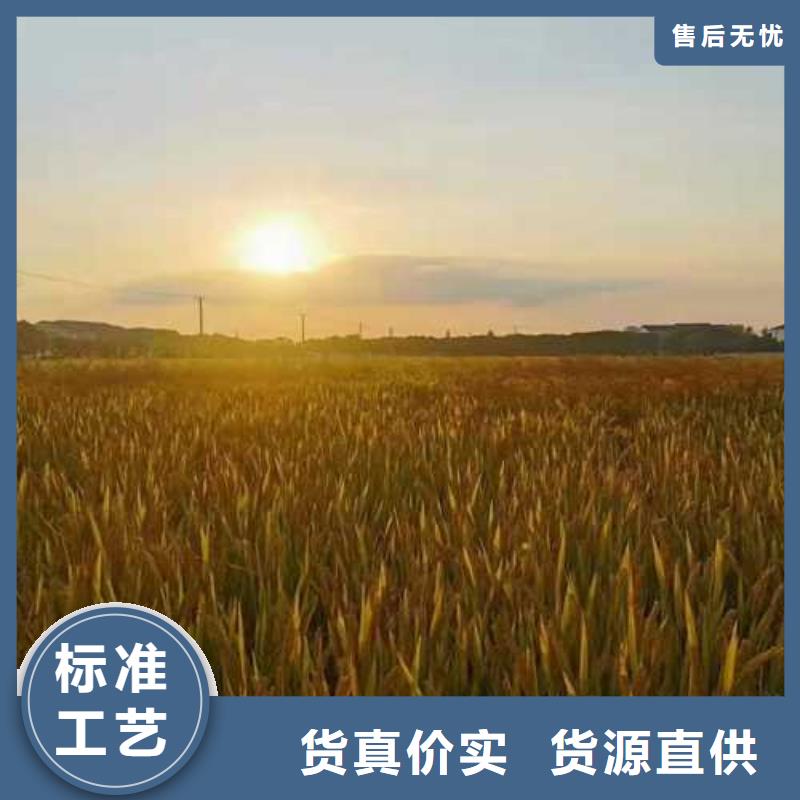 阳澄湖大闸蟹-视频-济宁市阳澄湖大闸蟹-附近可服务区域鱼台|兖州|济南|青岛|德州|东营|泰安