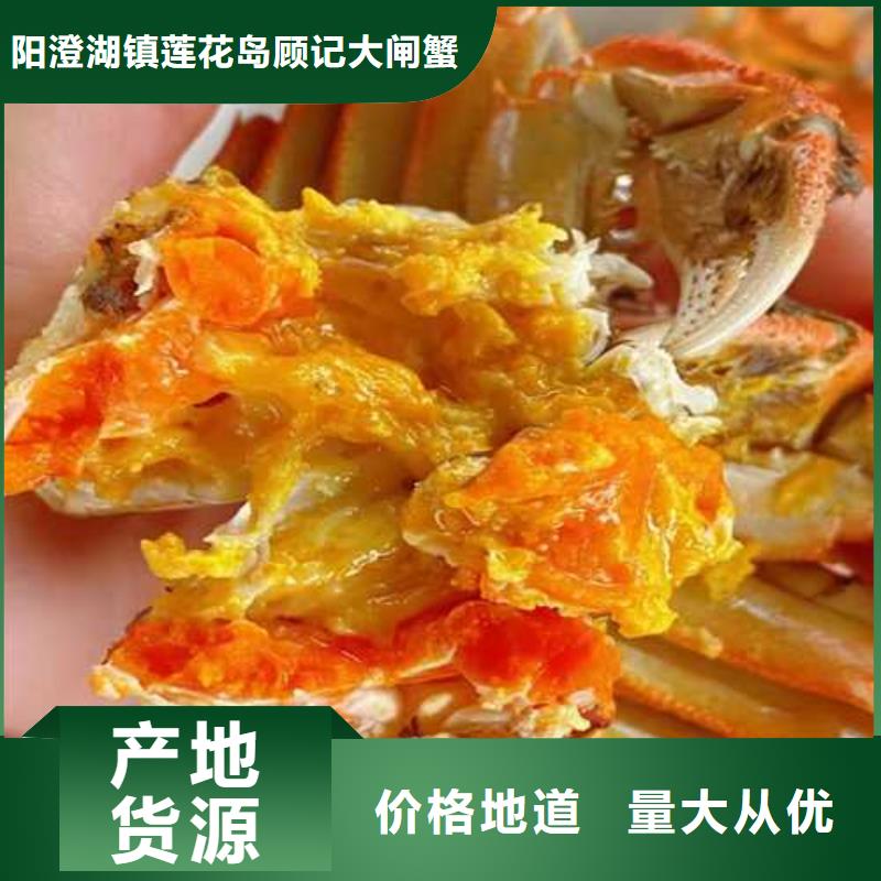 大闸蟹卖阳澄湖大闸蟹地方匠心工艺由顾记为您