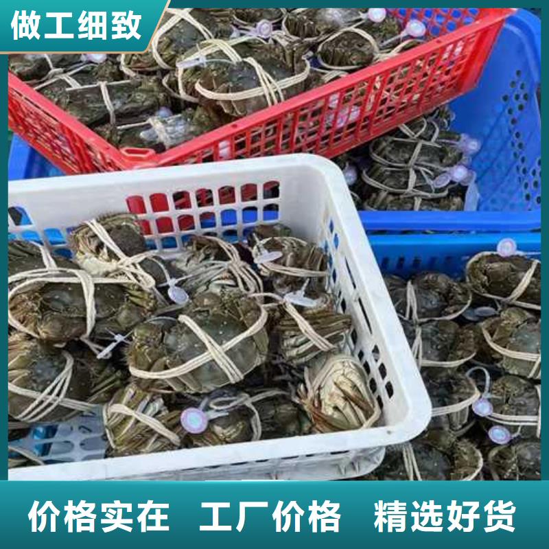 阳澄湖大闸蟹视频-山东省济宁市顾记阳澄湖大闸蟹可服务区域任城|金乡|聊城|济南|滨州|莱芜|菏泽|枣庄等