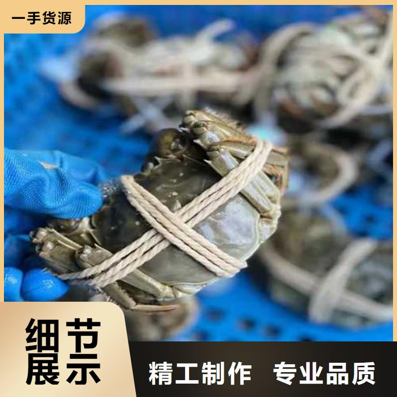 阳澄湖大闸蟹视频-阳澄湖大闸蟹-阳澄湖镇岛顾记大闸蟹经营部(海南省分公司)服务区域海口|三亚