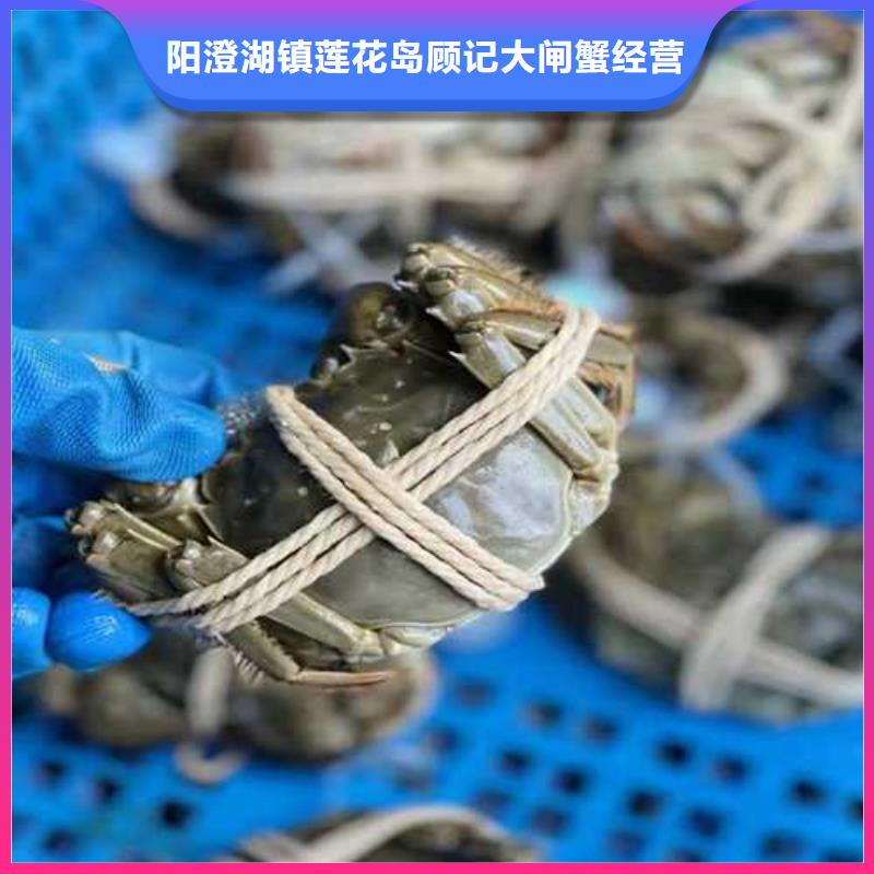 大闸蟹_【阳澄湖大闸蟹多少钱】认准大品牌厂家当地品牌