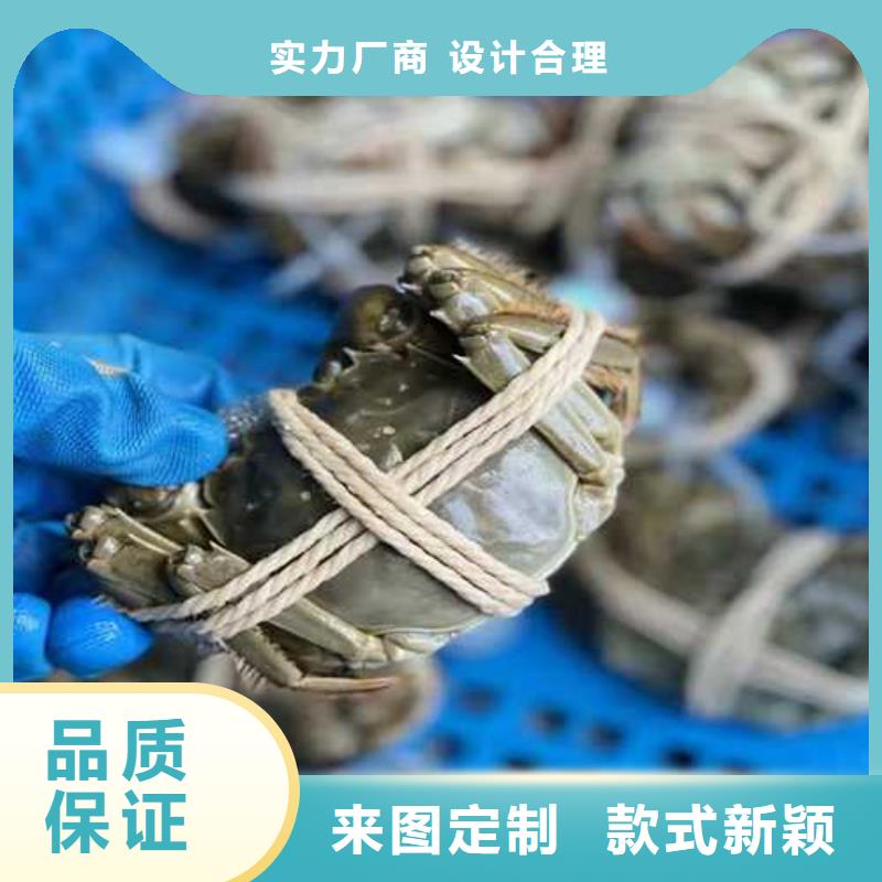 阳澄湖大闸蟹视频-山东省济宁市顾记阳澄湖大闸蟹可服务区域任城|金乡|聊城|济南|滨州|莱芜|菏泽|枣庄等