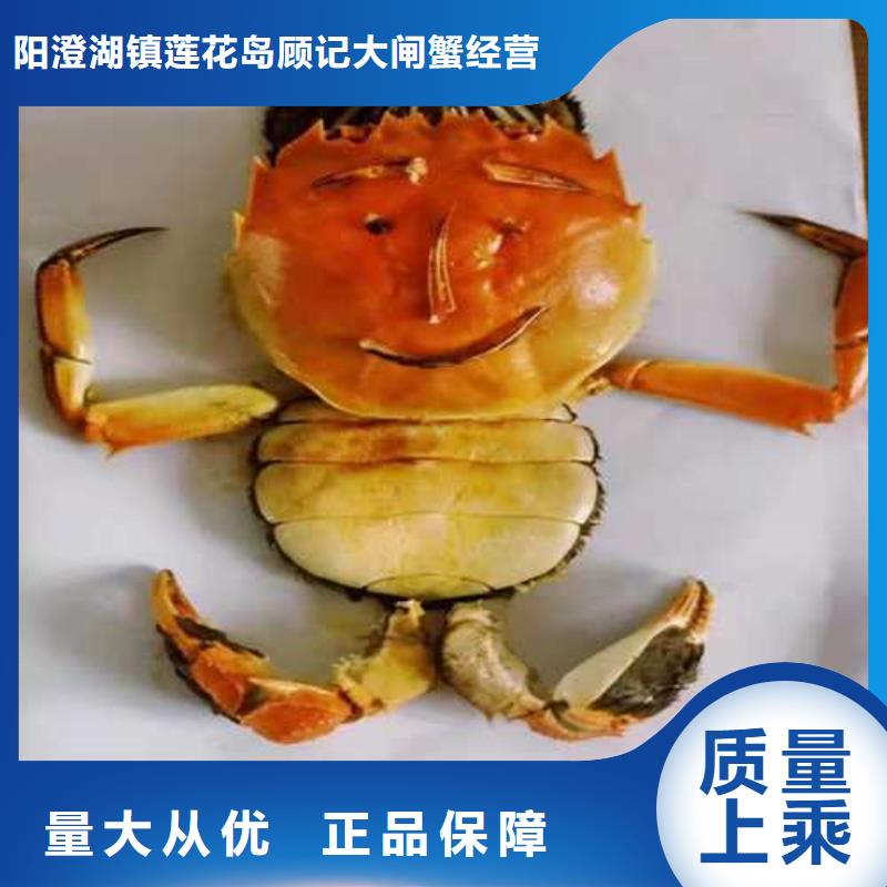 阳澄湖大闸蟹-视频-济宁市阳澄湖大闸蟹-附近可服务区域鱼台|兖州|济南|青岛|德州|东营|泰安