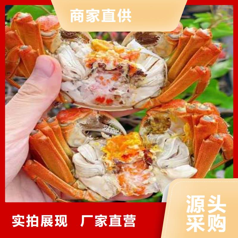 阳澄湖买蟹哪里正宗苏州这里好