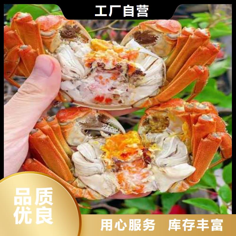 严选用料【大闸蟹_阳澄湖大闸蟹订购欢迎来电咨询】