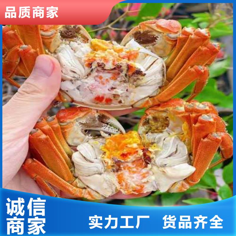 莲花岛大闸蟹哪里正宗