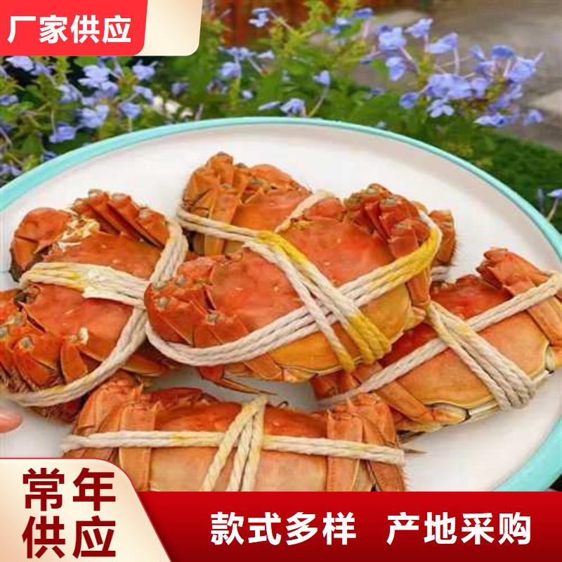 大闸蟹-【阳澄湖大闸蟹价格】免费获取报价|嘉兴|衢州|金华|台州|绍兴|温州aq00.com