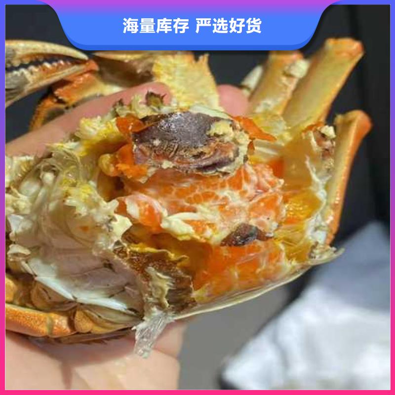 阳澄湖大闸蟹-视频-辽宁省阜新市|太平|细河|营口|沈阳|盘锦|辽阳|本溪|抚顺|鞍山阳澄湖大闸蟹-顾记