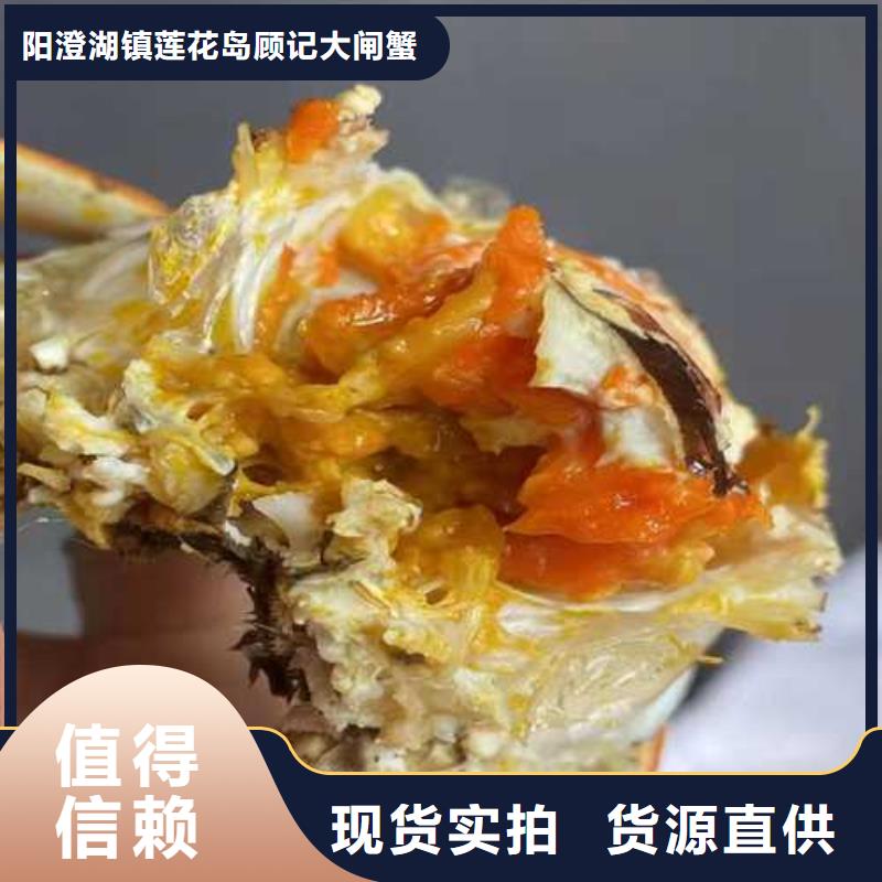 苏州阳澄湖大闸蟹那家实惠好吃