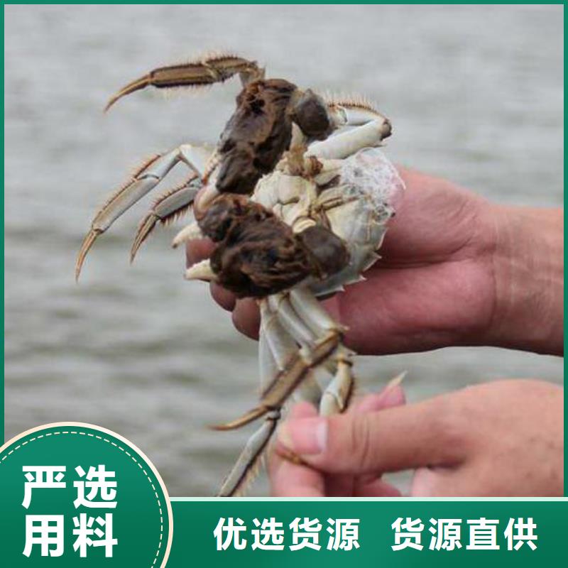 阳澄湖买蟹哪里正宗苏州这里好