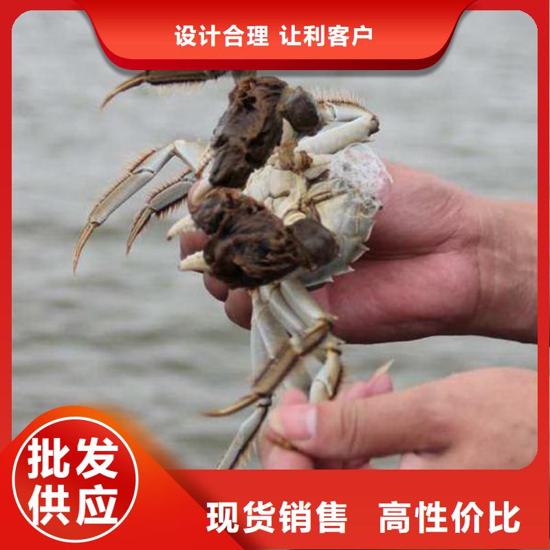 阳澄湖大闸蟹视频-山东省济宁市顾记阳澄湖大闸蟹可服务区域任城|金乡|聊城|济南|滨州|莱芜|菏泽|枣庄等